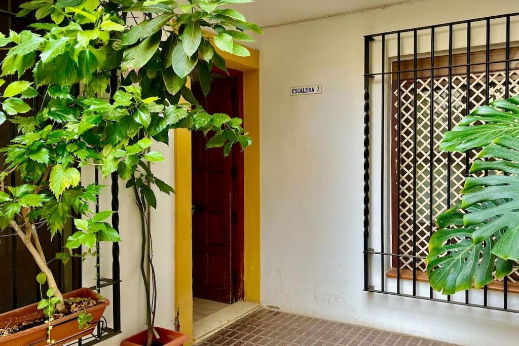 Apartamento Kenza Kordoba Bagian luar foto